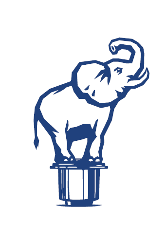 Logo Capemi